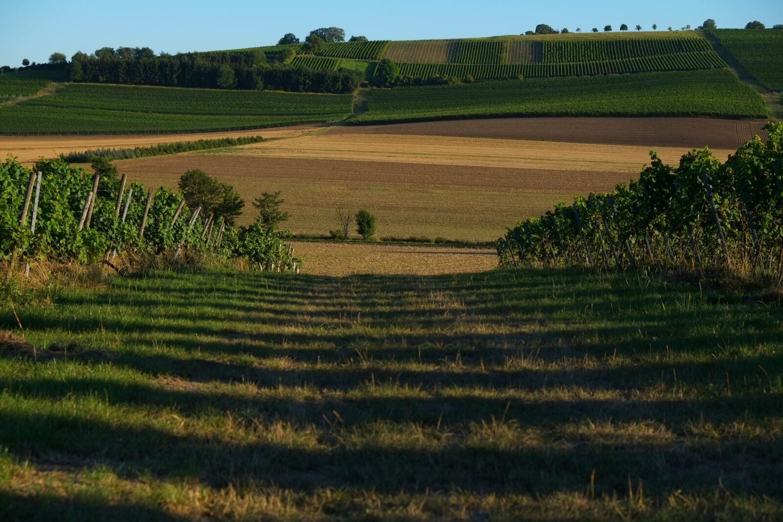 Fujifilm X-E1 sample photo. Lane, landscape, nature photography