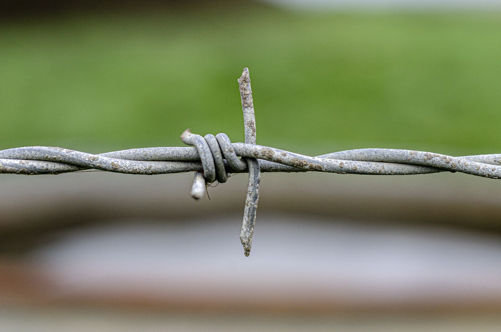Nikon D7000 sample photo. Barbed, wire, closing photography