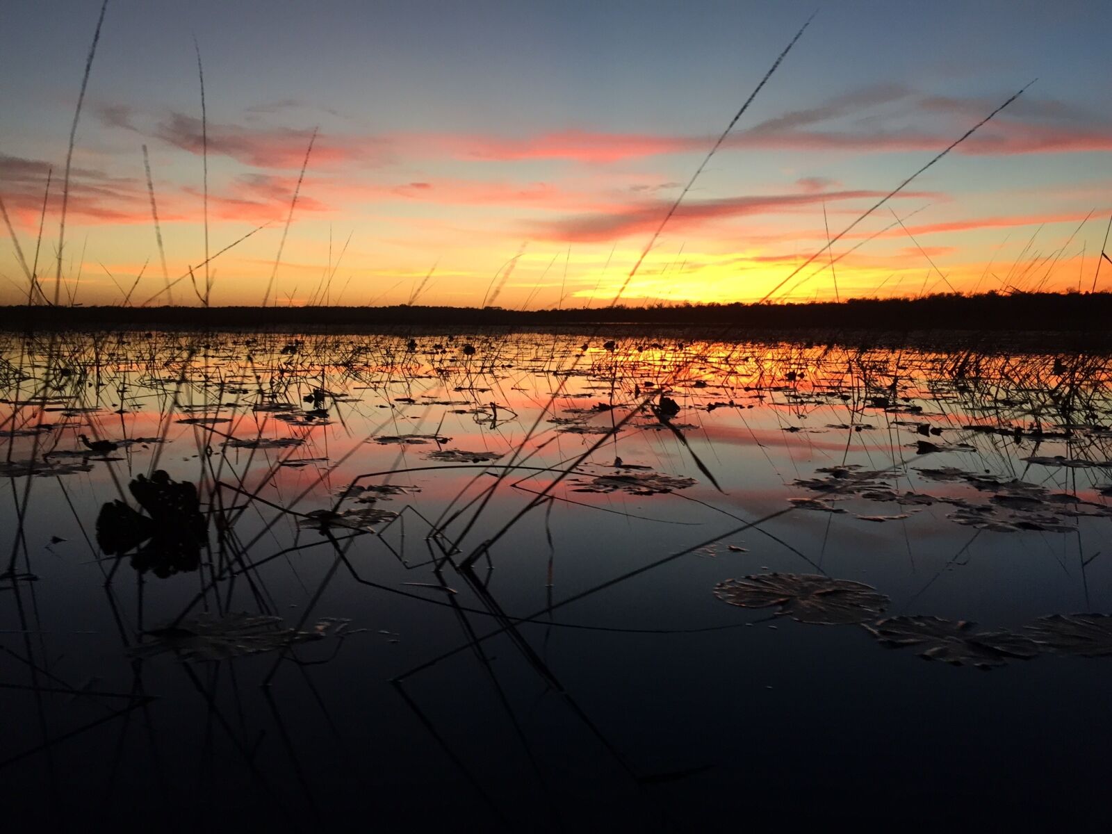Apple iPhone 6 sample photo. Lake, sunrise, wetland photography