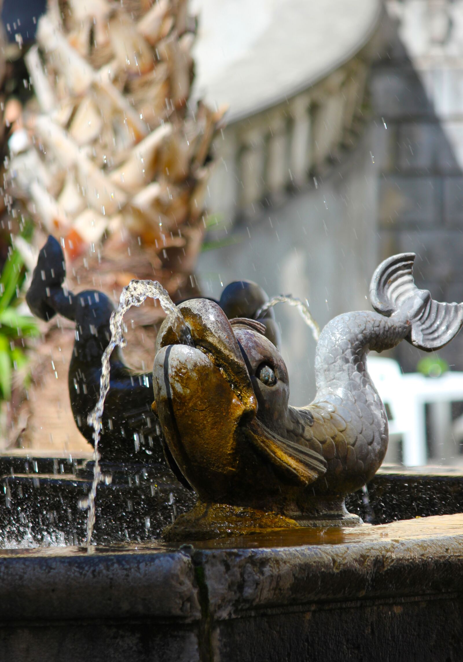 Canon EOS 550D (EOS Rebel T2i / EOS Kiss X4) sample photo. Water, gush, fontana photography