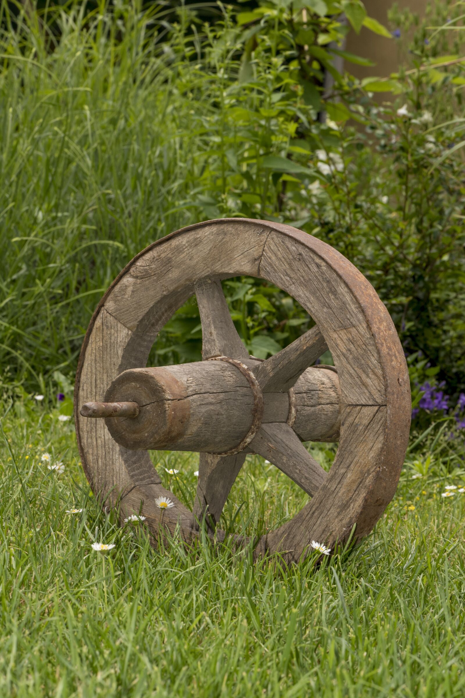 Nikon D750 sample photo. Old wheel, wheel, cart photography