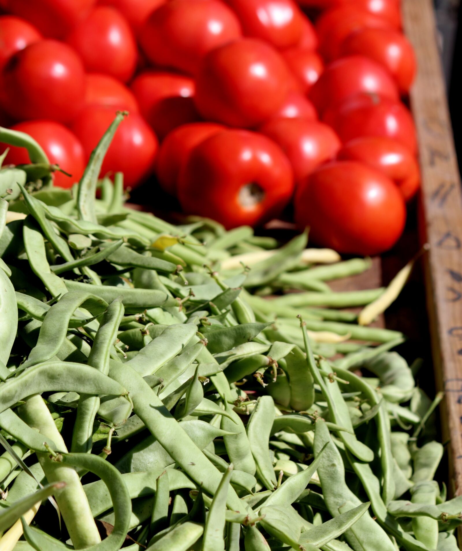 Canon EOS 550D (EOS Rebel T2i / EOS Kiss X4) sample photo. Tomato, green, beans photography