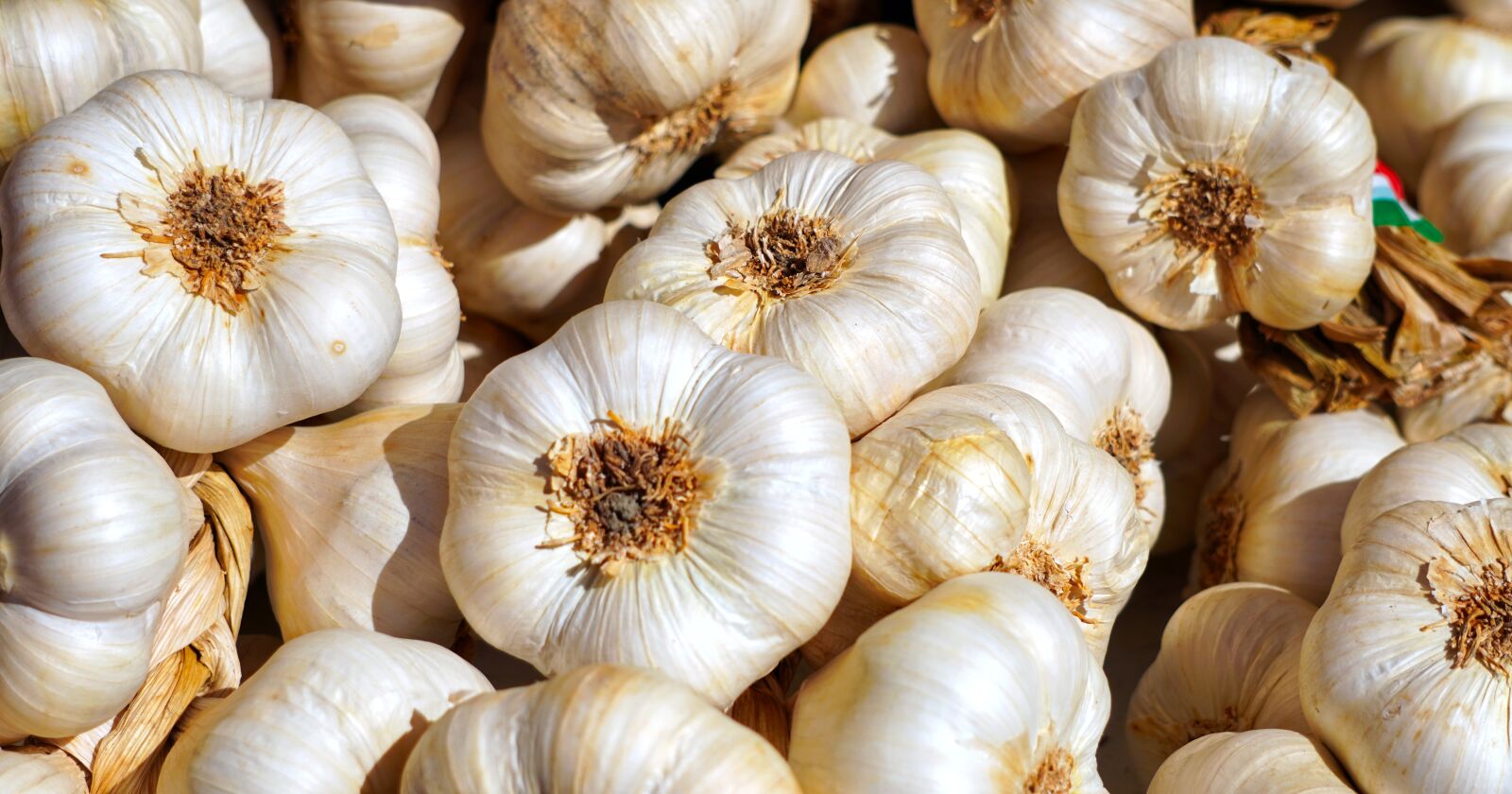 Sony E 55-210mm F4.5-6.3 OSS sample photo. Garlic, tubers, herb photography