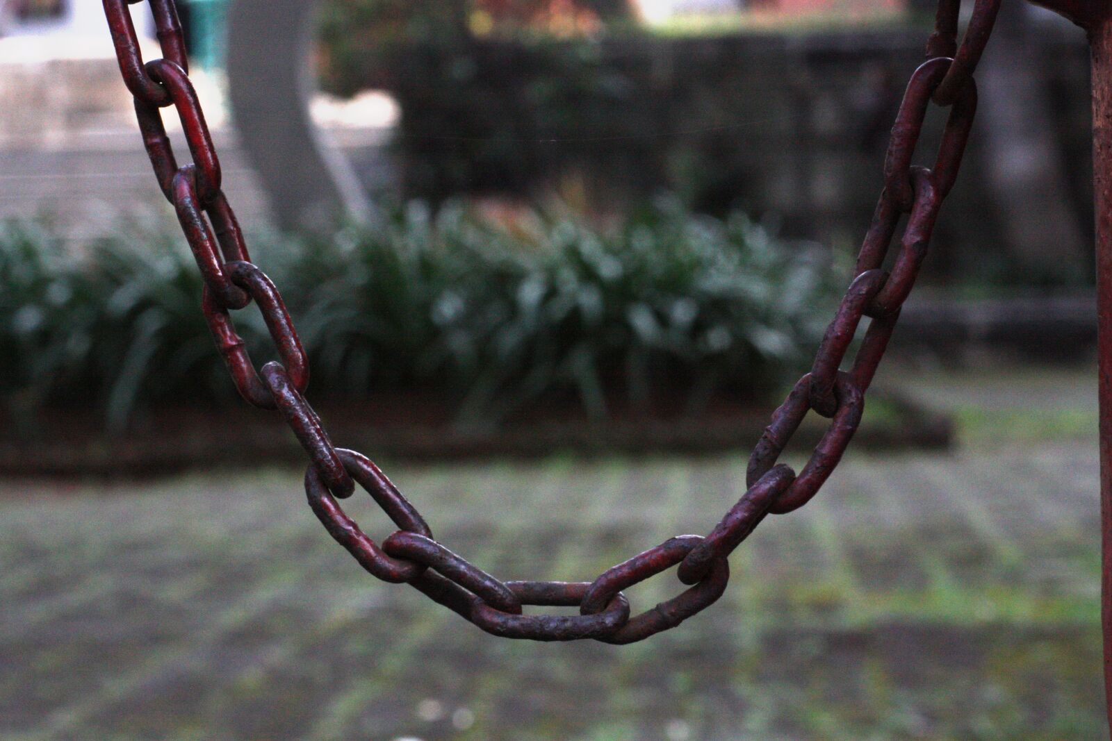 Canon EOS 450D (EOS Rebel XSi / EOS Kiss X2) sample photo. Curve, iron, chain photography