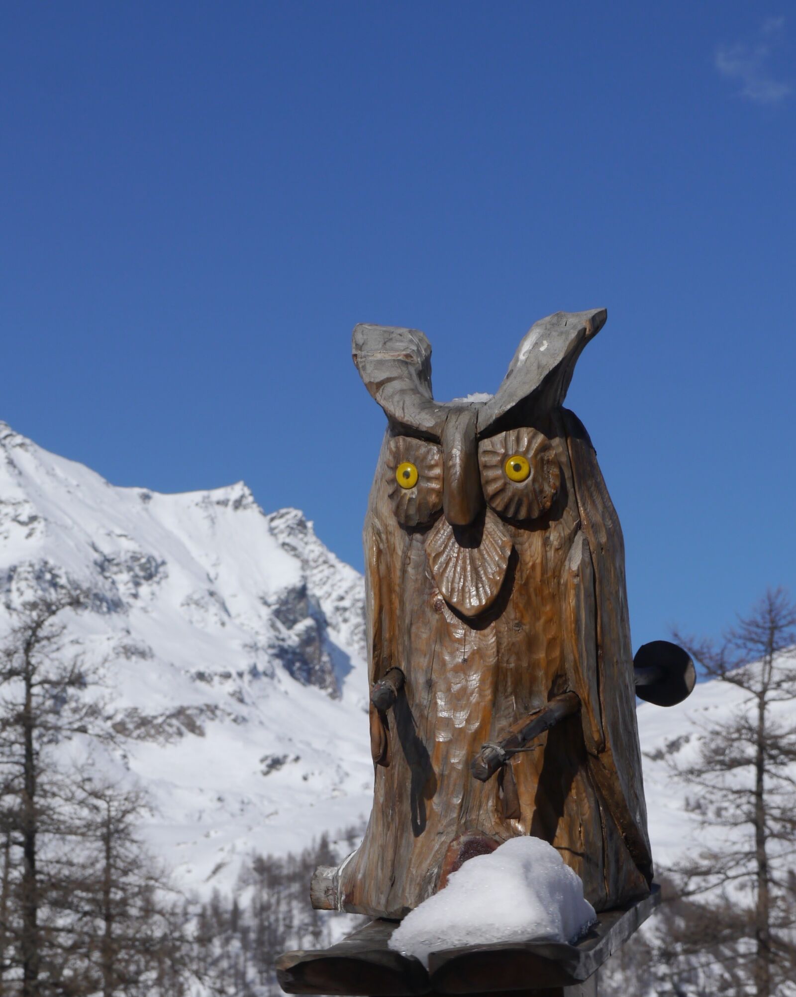 Panasonic Lumix DMC-G3 sample photo. Owl, snow, italy photography