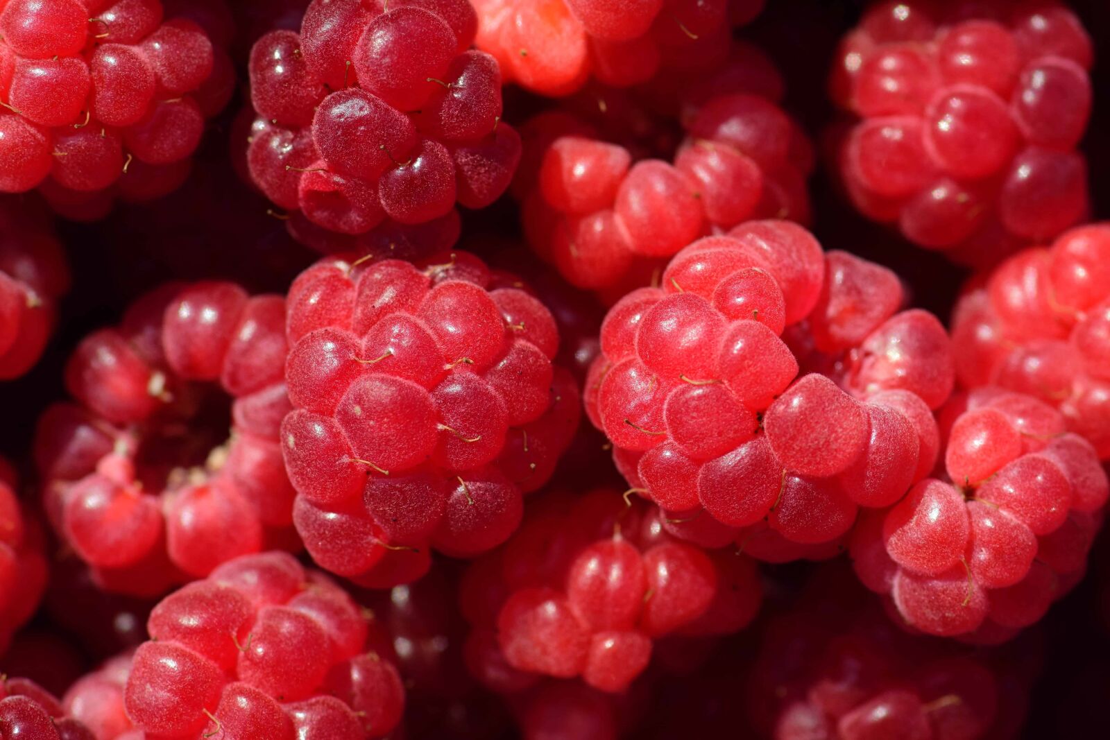 Nikon D3300 sample photo. Fruit, berry, delicious, diet photography