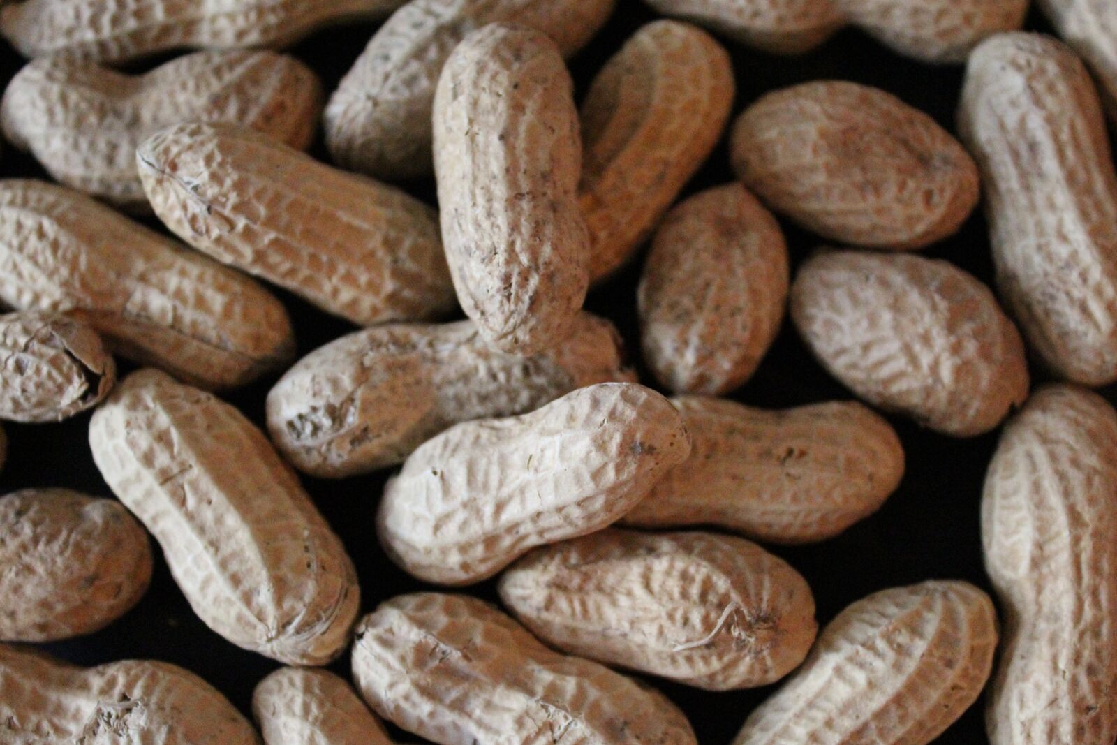 Canon EOS 1300D (EOS Rebel T6 / EOS Kiss X80) sample photo. Background, peanuts, nuts photography