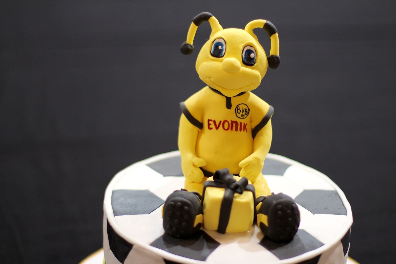 Canon EOS 600D (Rebel EOS T3i / EOS Kiss X5) + Canon EF 50mm F1.4 USM sample photo. Cake, borussia, dortmund photography