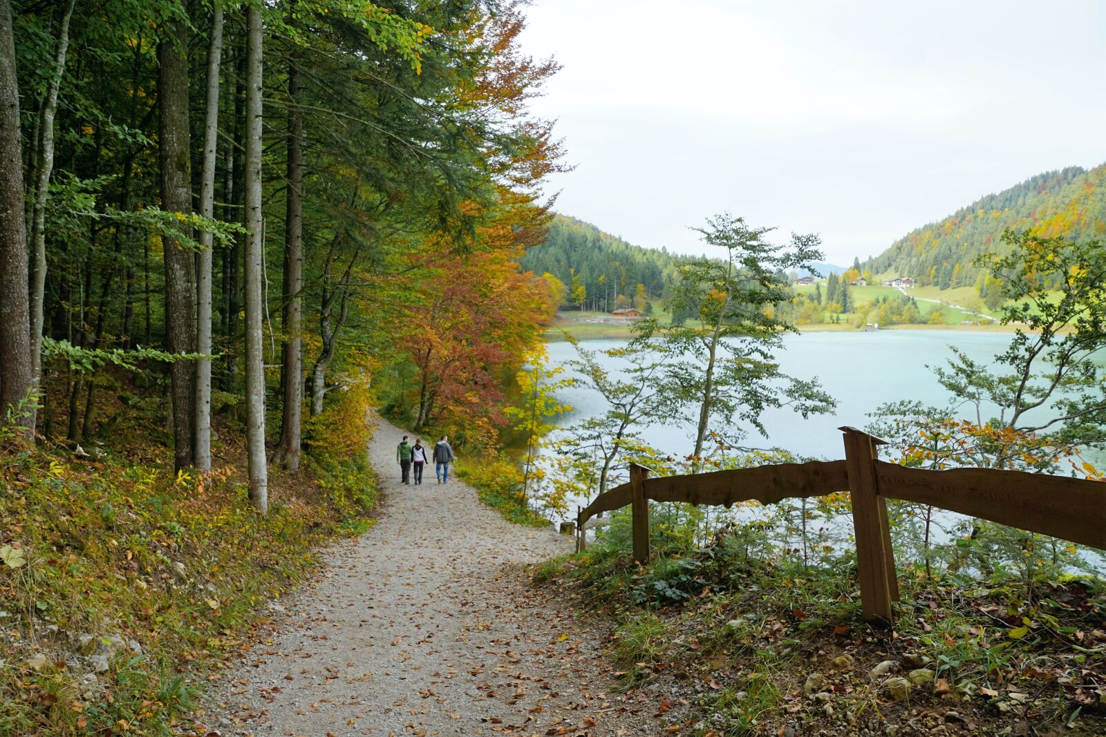 Sony ILCA-77M2 + Sony DT 16-50mm F2.8 SSM sample photo. Ellmau, scheffau, austria photography