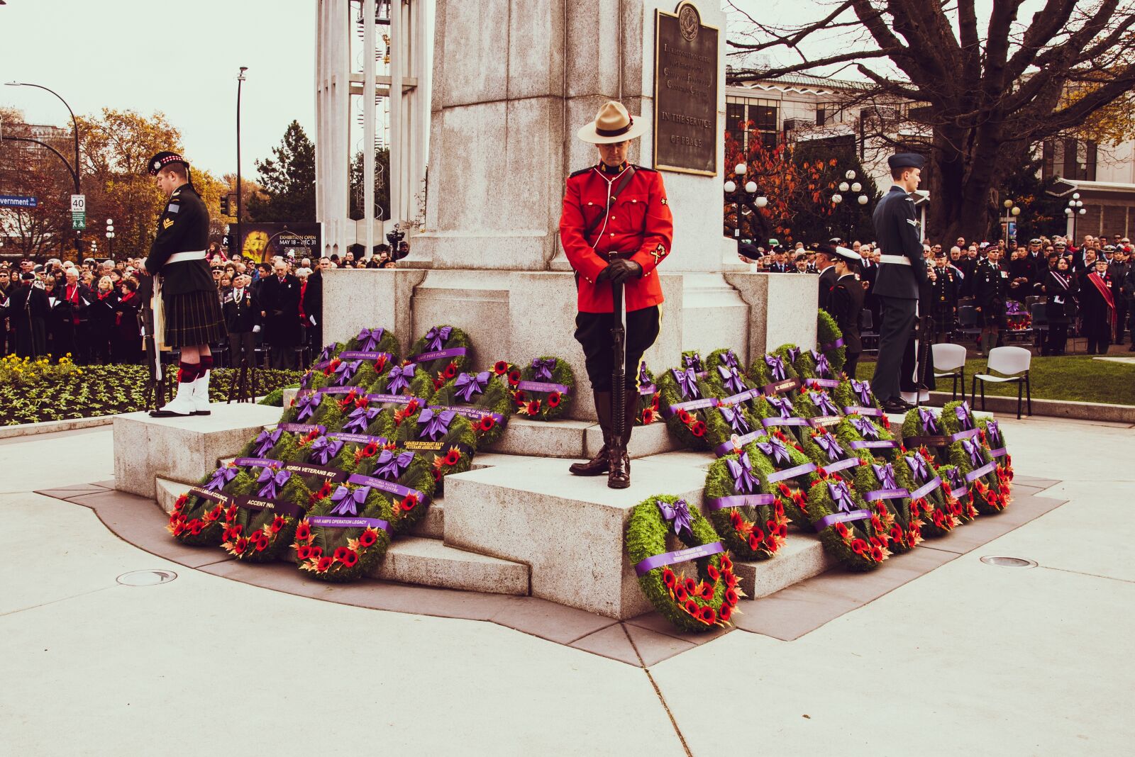 Nikon D750 sample photo. Remembrance day, poppy, monument photography