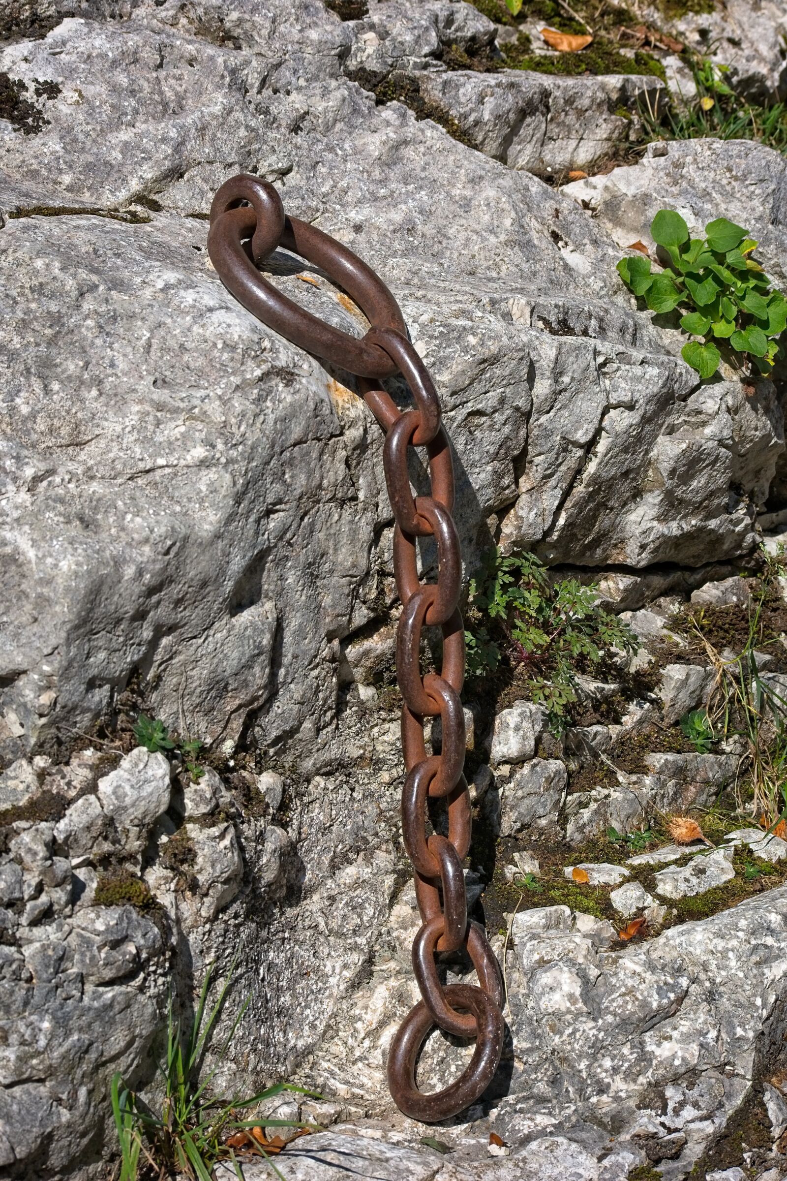 Nikon D7100 sample photo. Iron ring, chain, connection photography