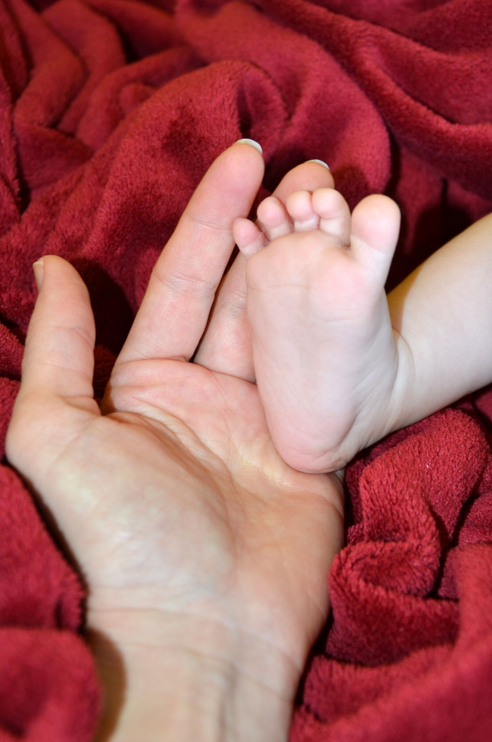 Nikon D3100 sample photo. Pleasure, child, family photography