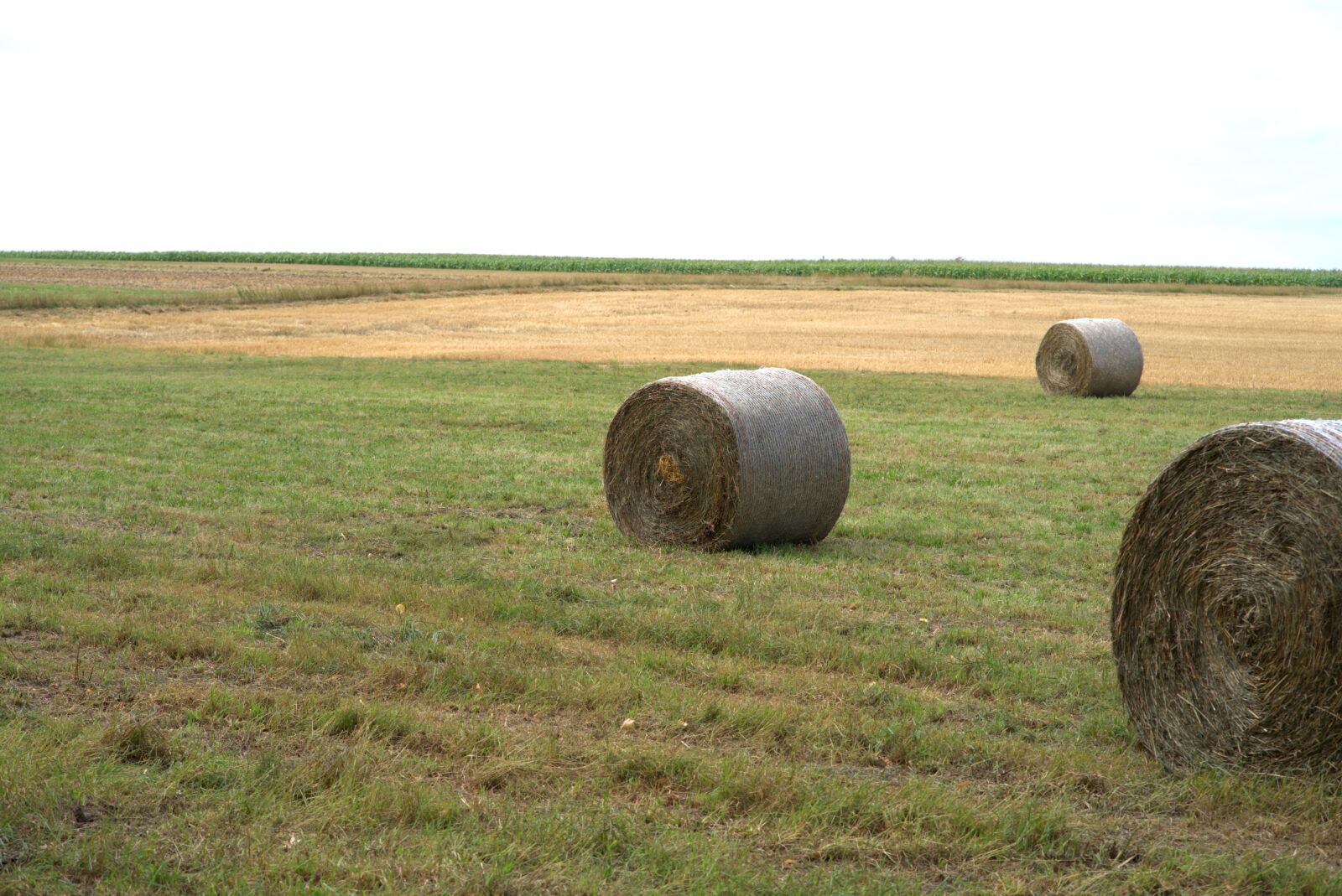 Sony a7 II + Sony FE 85mm F1.8 sample photo. Straw bales, straw, harvest photography