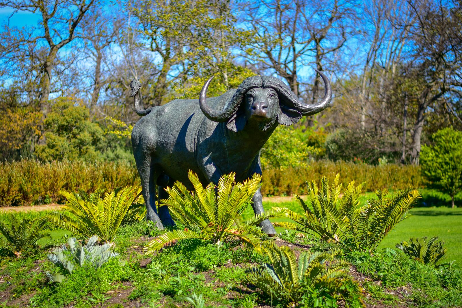 Nikon D5500 sample photo. Nature, statue, bull photography