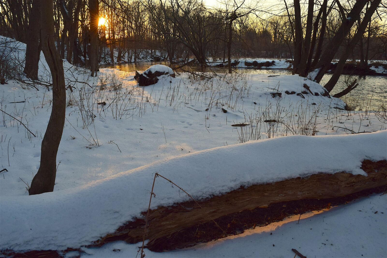Nikon D3300 sample photo. Snow, park, sunset photography