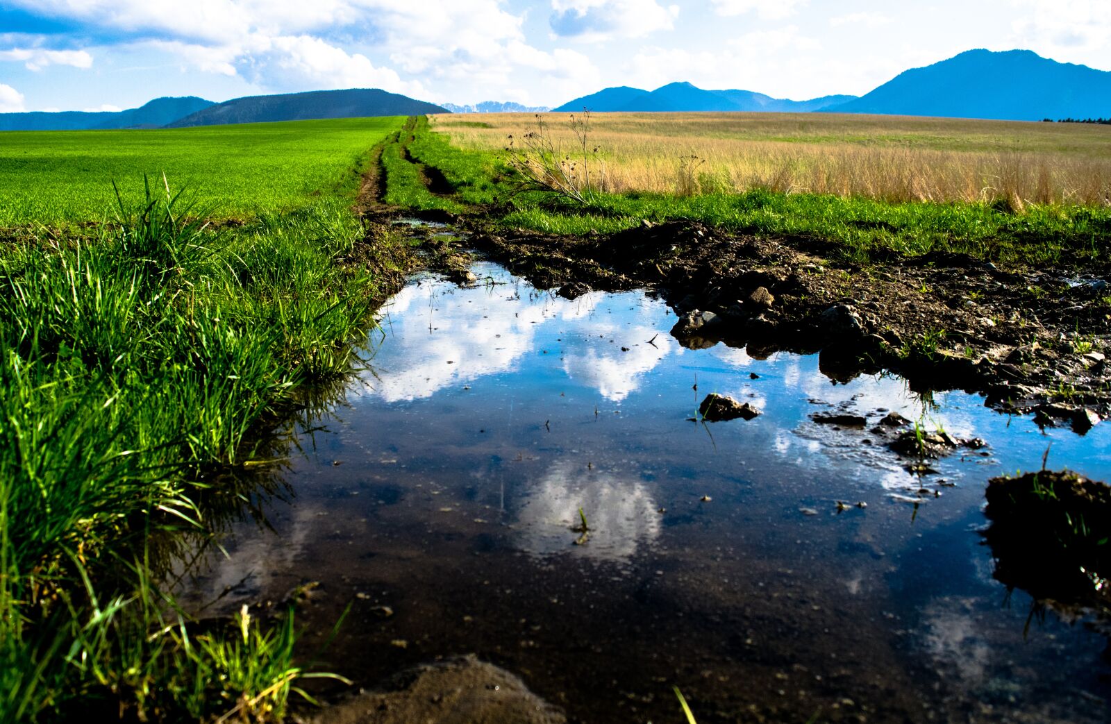 Nikon D3300 sample photo. Pool, puddle, meadow photography