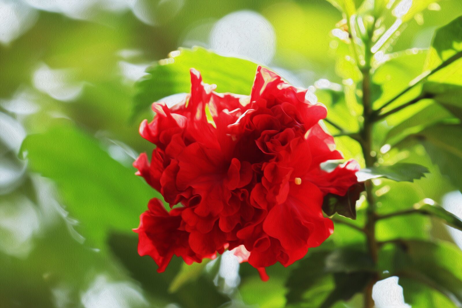 Canon EOS 250D (EOS Rebel SL3 / EOS Kiss X10 / EOS 200D II) sample photo. Red, china rose, green photography