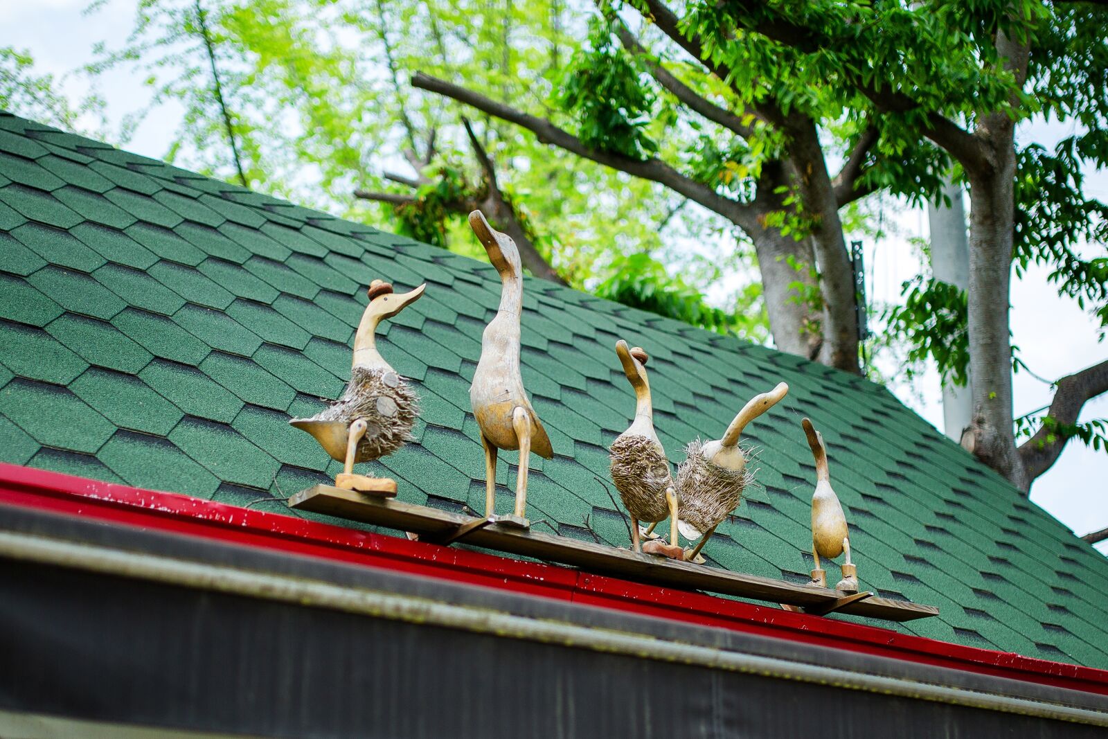 Canon EOS 5D Mark III sample photo. Wood, duck, doll photography