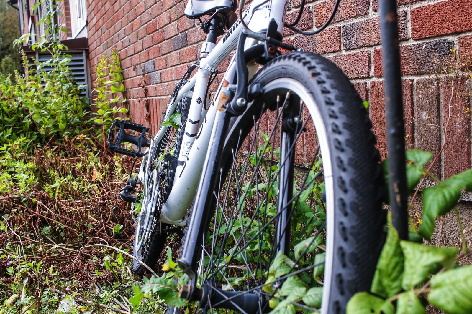 Canon EOS 7D Mark II sample photo. Bike, bicycle, leaf photography
