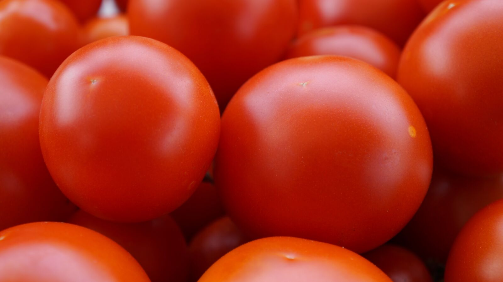Sony Alpha a3000 sample photo. Tomatoes, red, delicious photography