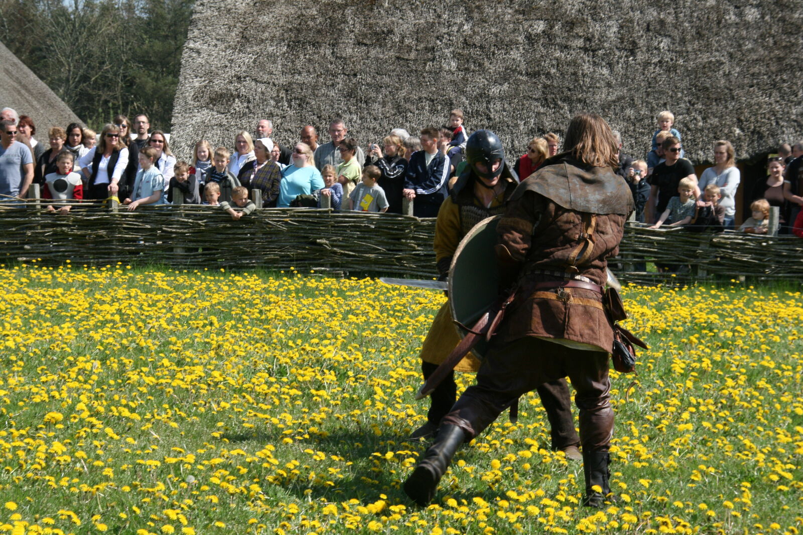 Sigma 18-200mm f/3.5-6.3 DC OS sample photo. Vikings photography