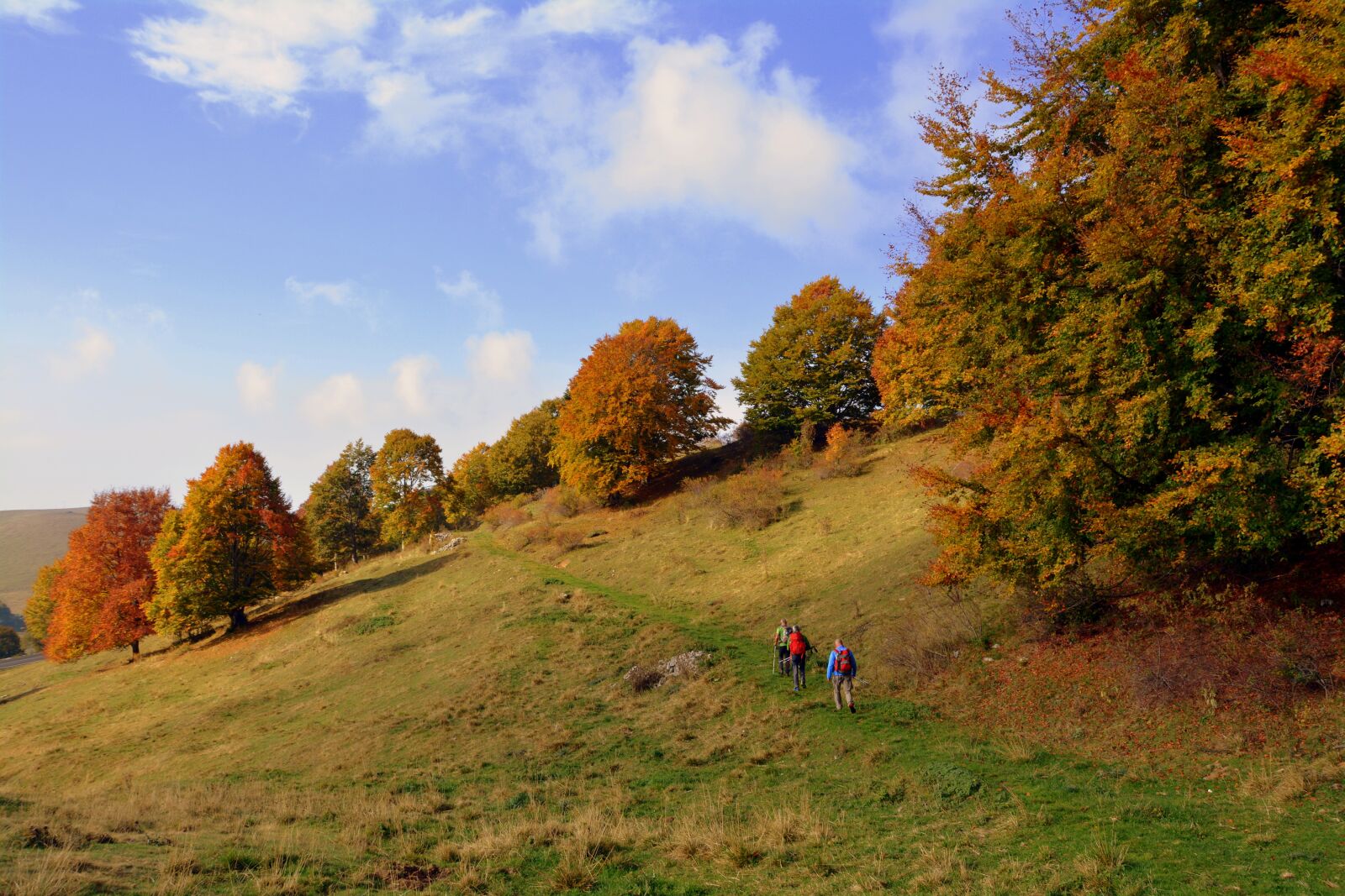 Nikon D7100 sample photo. Excursion, trees, autumn photography