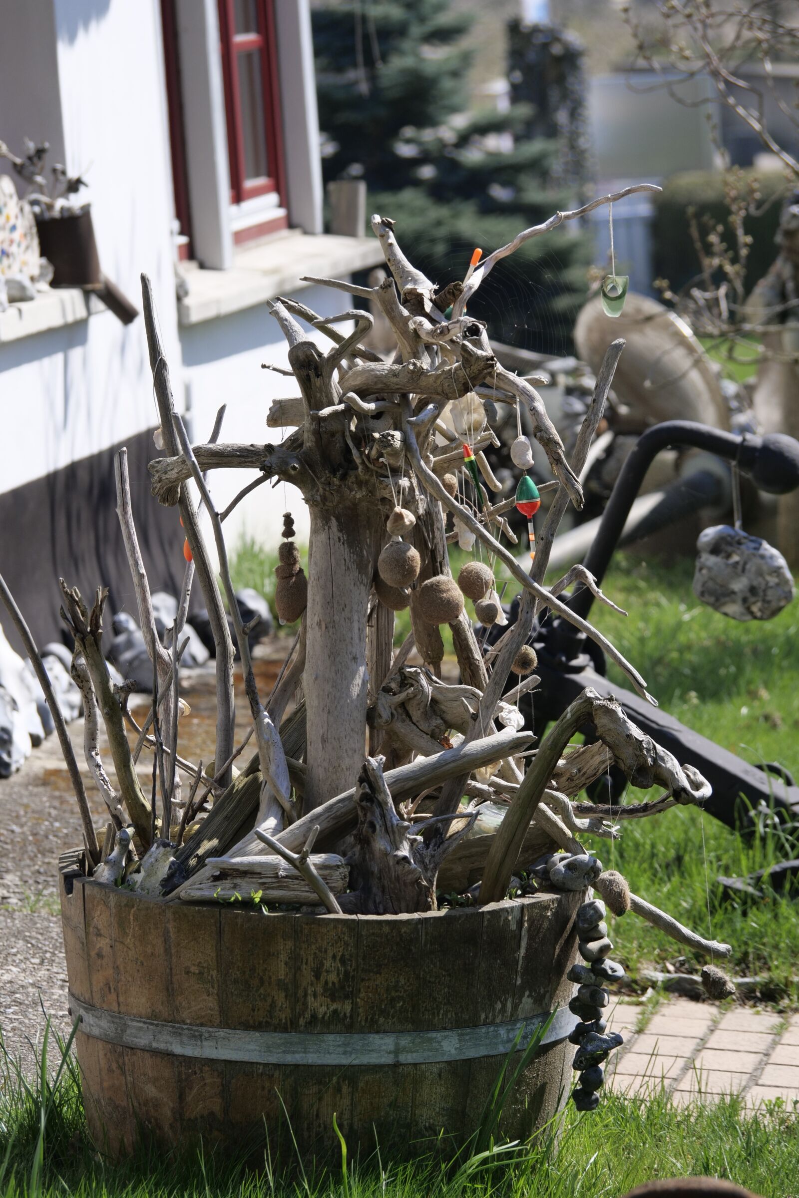 Panasonic Lumix DC-G9 sample photo. Nature, flotsam, collect photography