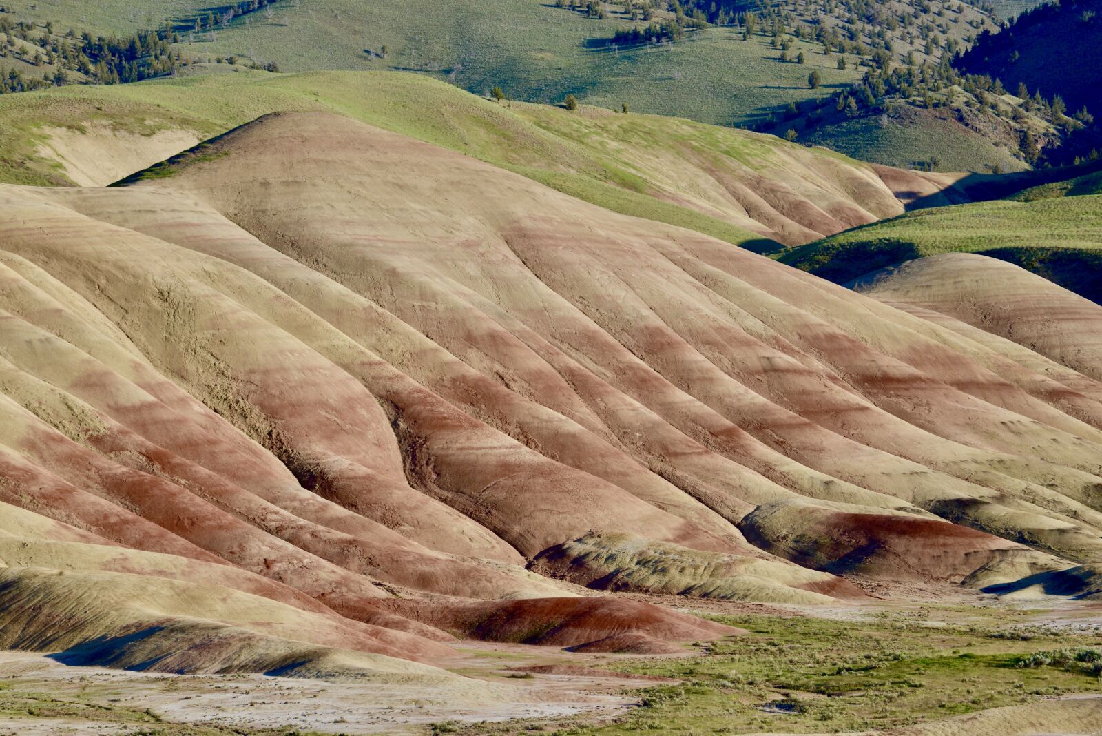 Nikon D600 sample photo. Painted hills, landscape, nature photography