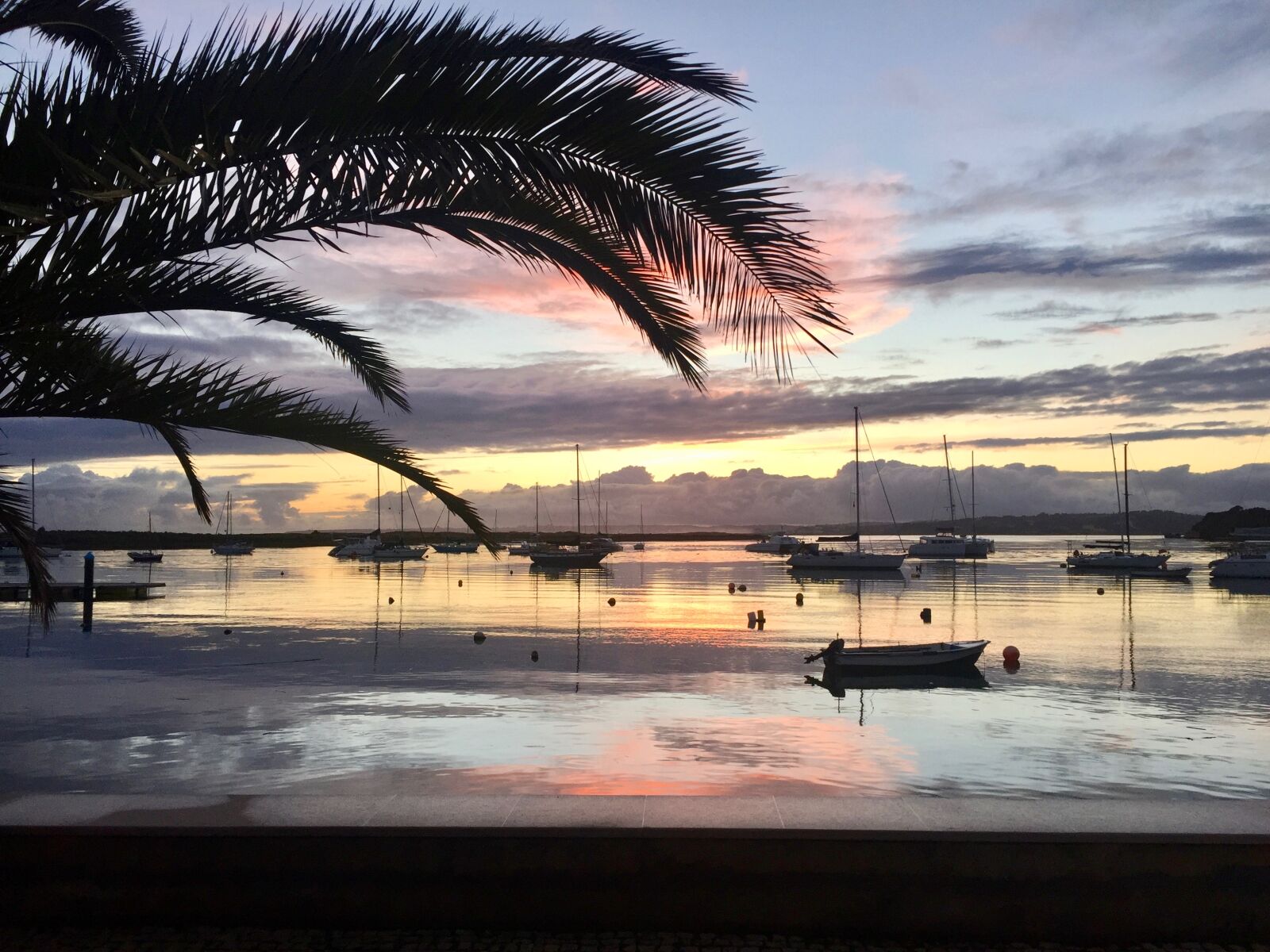 iPhone 6 back camera 4.15mm f/2.2 sample photo. Boats, lake, palmtree, reflection photography