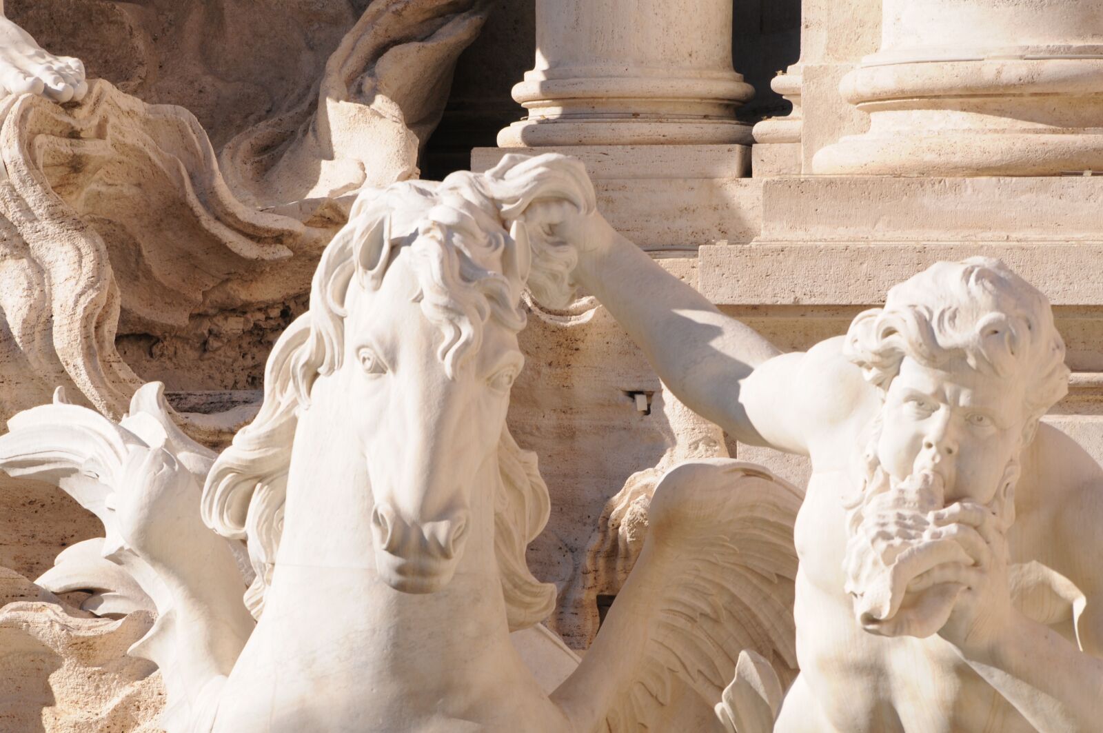 Nikon D300 sample photo. Trevi, rome, fountain photography