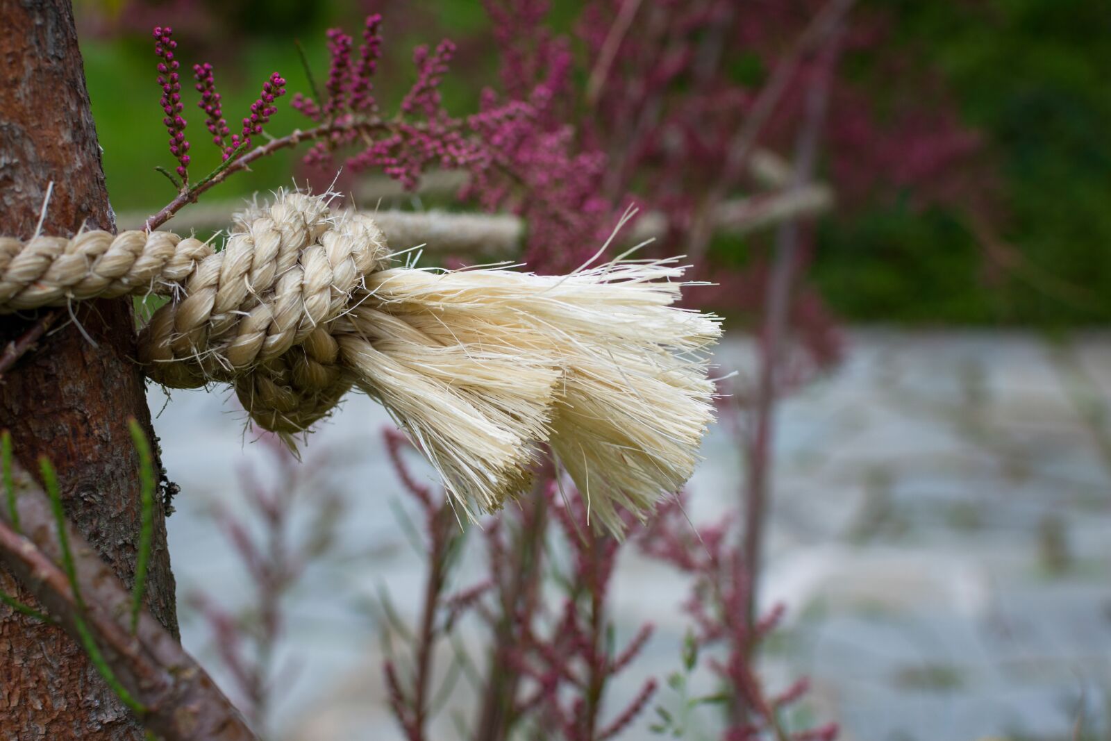 Nikon D7200 sample photo. Knot, rope, knitting photography