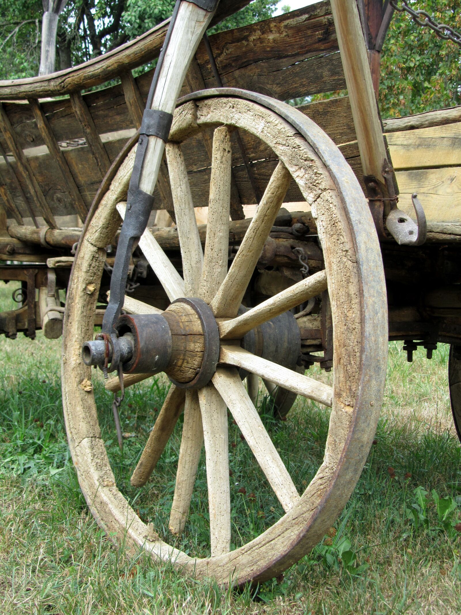 Canon PowerShot SX210 IS sample photo. Wagon wheel representing, wheel photography