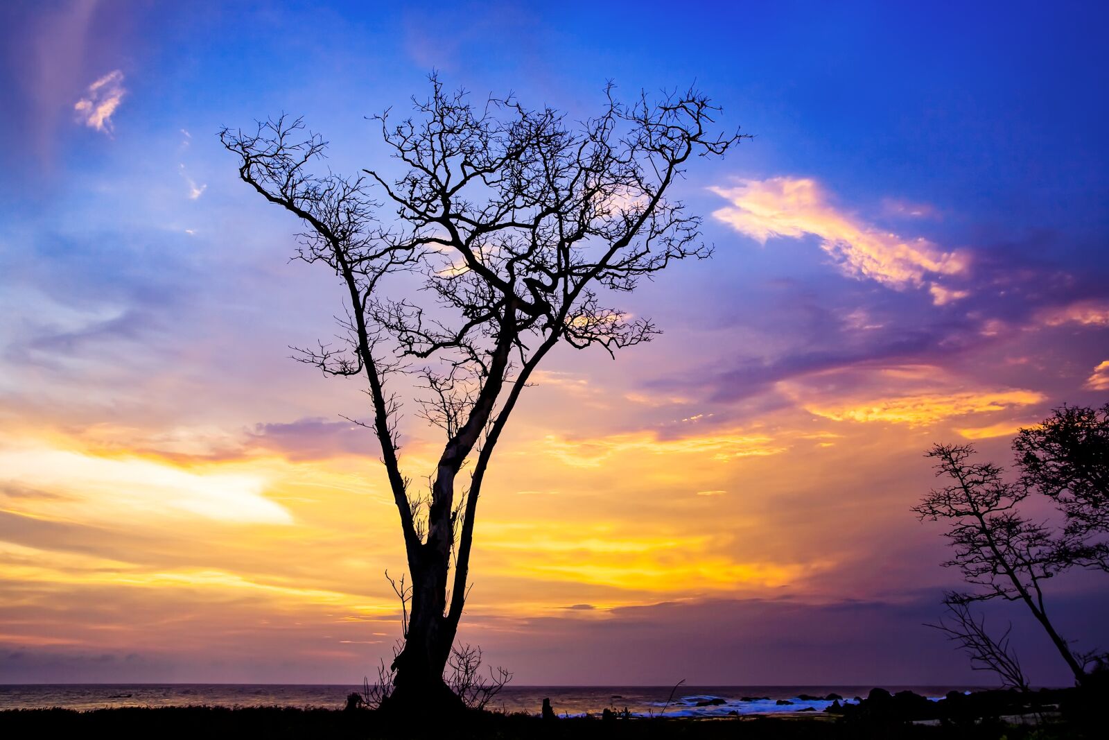 Canon EOS 5D sample photo. Landscape, coast, sunset photography