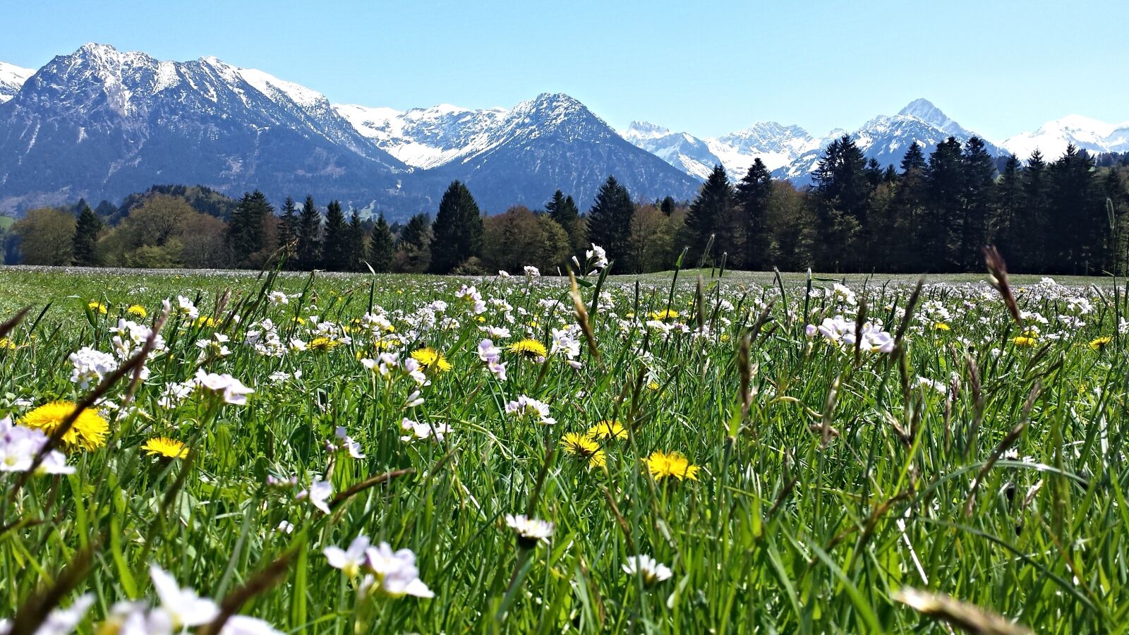 Samsung Galaxy S4 sample photo. Alpine, mountain meadow, mountains photography