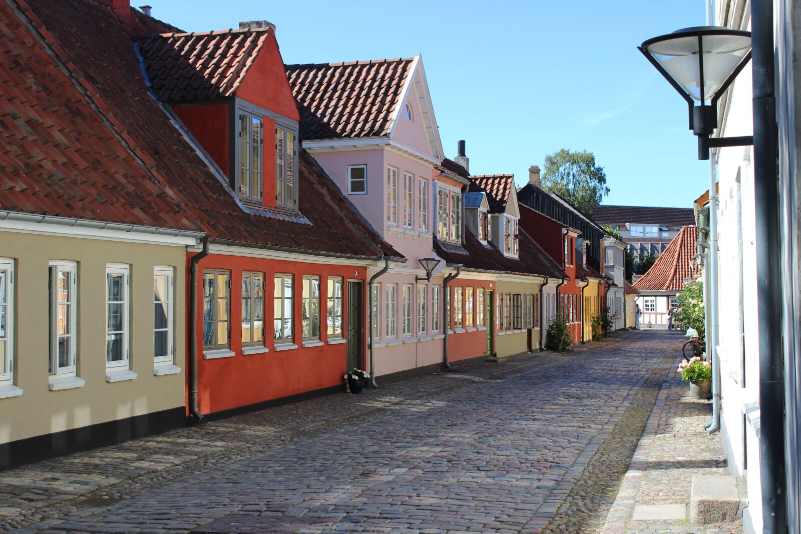 Canon EOS 600D (Rebel EOS T3i / EOS Kiss X5) sample photo. Bangs, boder, odense photography