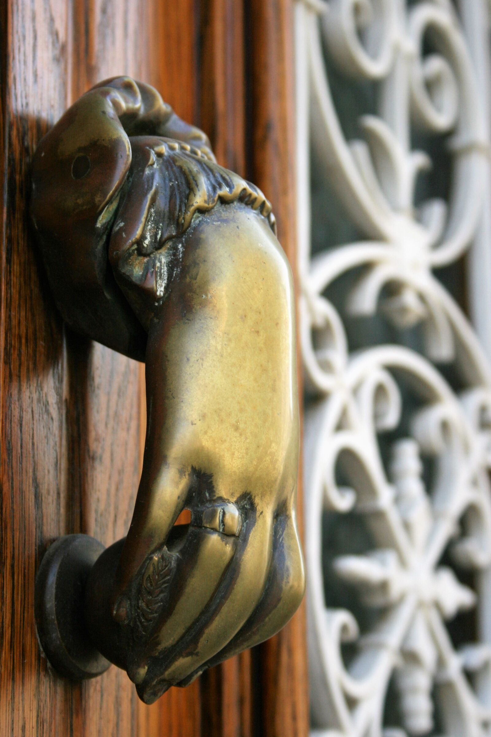 Canon EOS 400D (EOS Digital Rebel XTi / EOS Kiss Digital X) sample photo. Doorknocker, front door, fitting photography