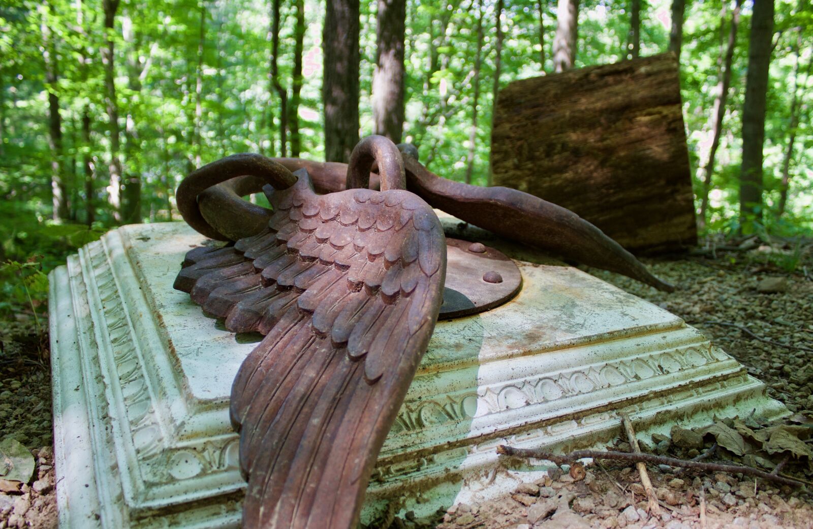 Canon EOS 1200D (EOS Rebel T5 / EOS Kiss X70 / EOS Hi) sample photo. Wings, steel, art photography