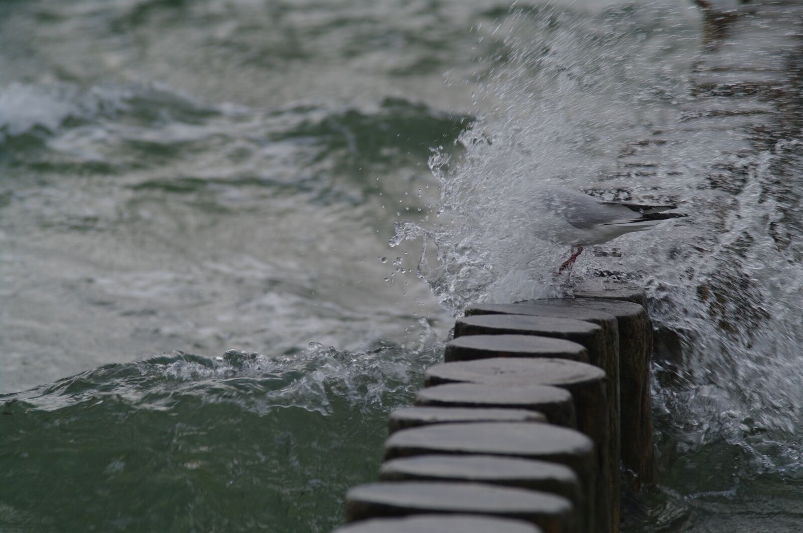 Pentax K20D sample photo. Beach, baltic sea, sea photography