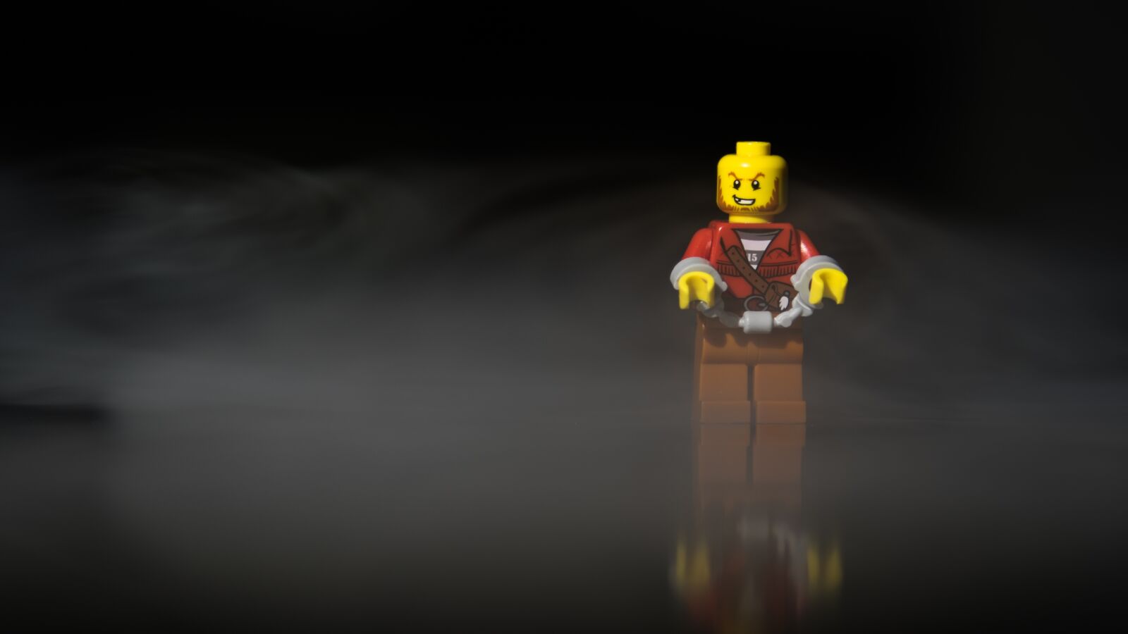 Nikon D750 sample photo. Bandit, evasion, lego photography