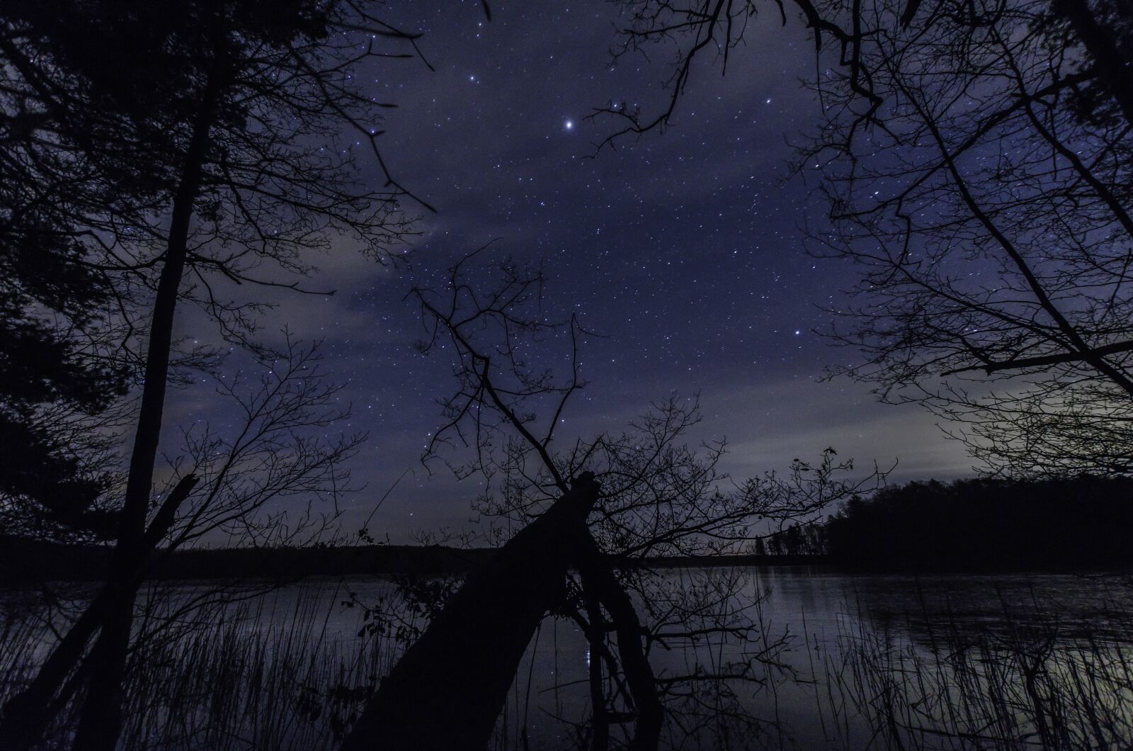 Nikon D7000 sample photo. Stars, night, tree photography