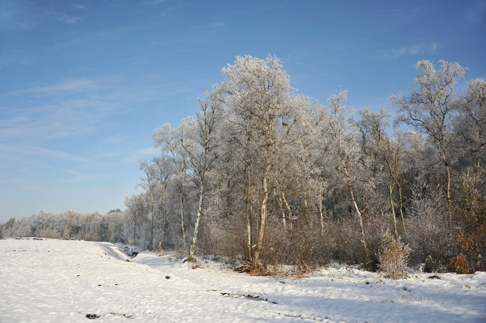 Nikon D3S sample photo. Landscape, peat, moor photography