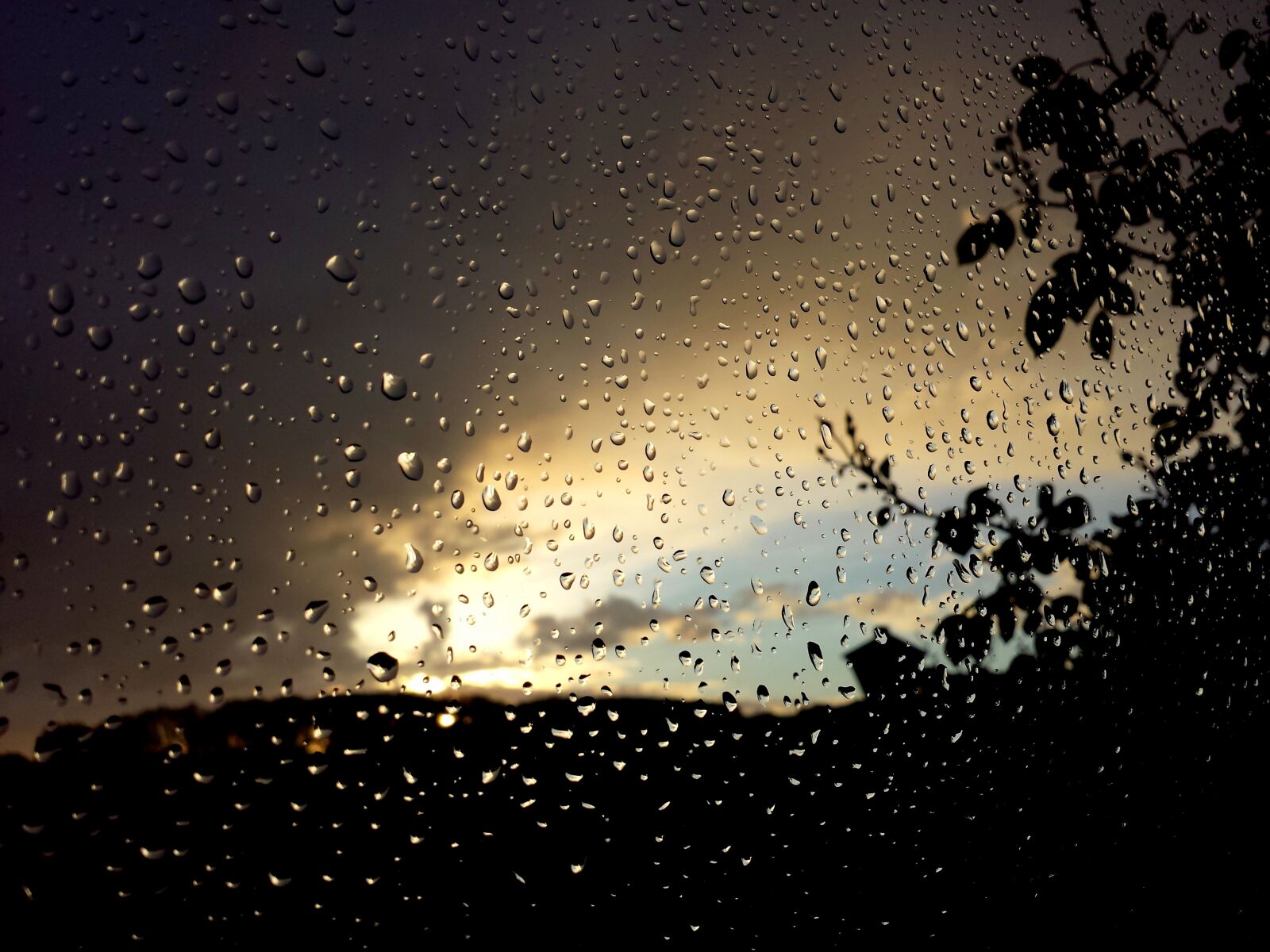 Samsung Galaxy S4 sample photo. Pane, rain, drops photography