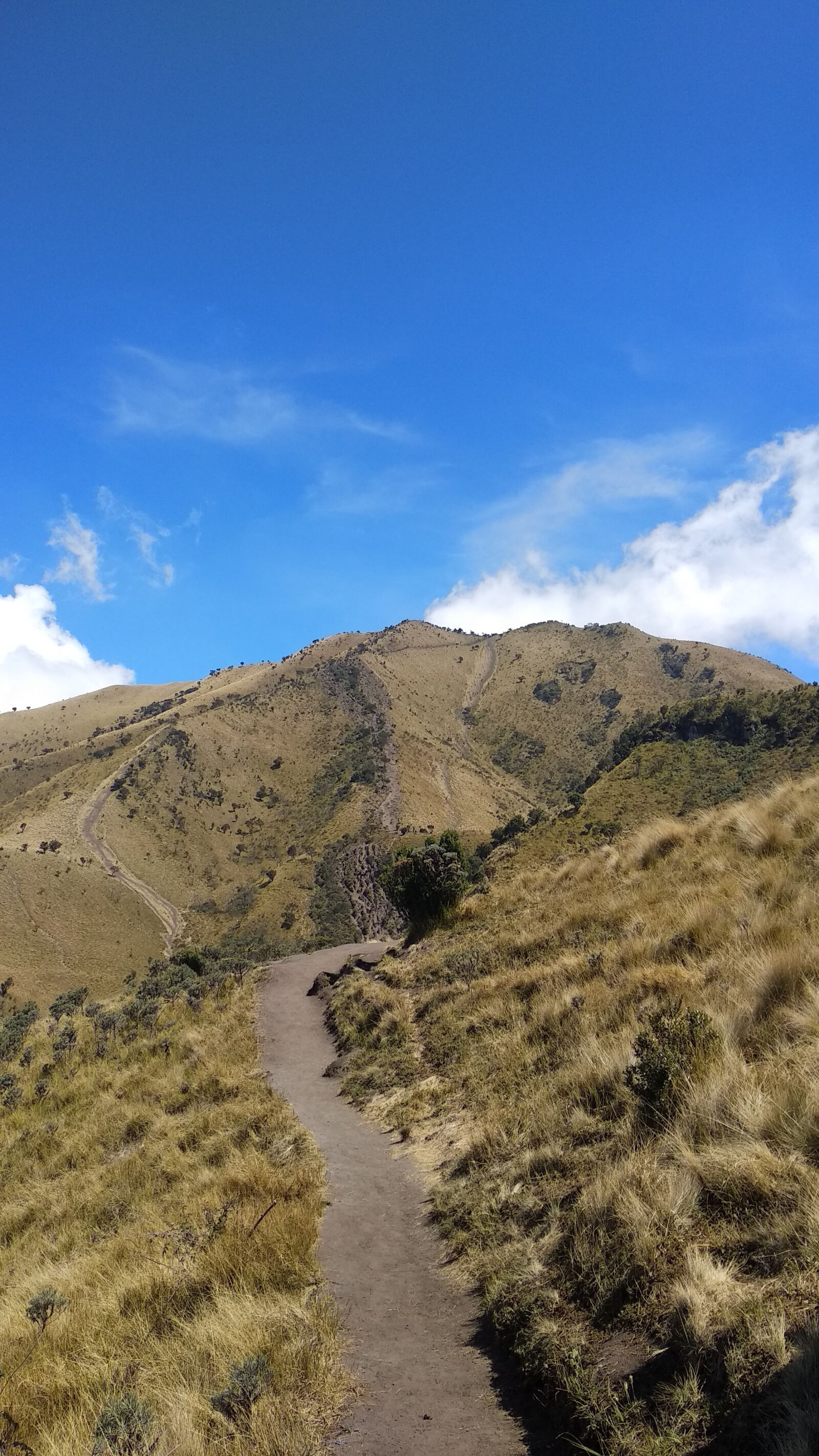 Xiaomi Mi A1 sample photo. Landscape, mountain, merbabu photography