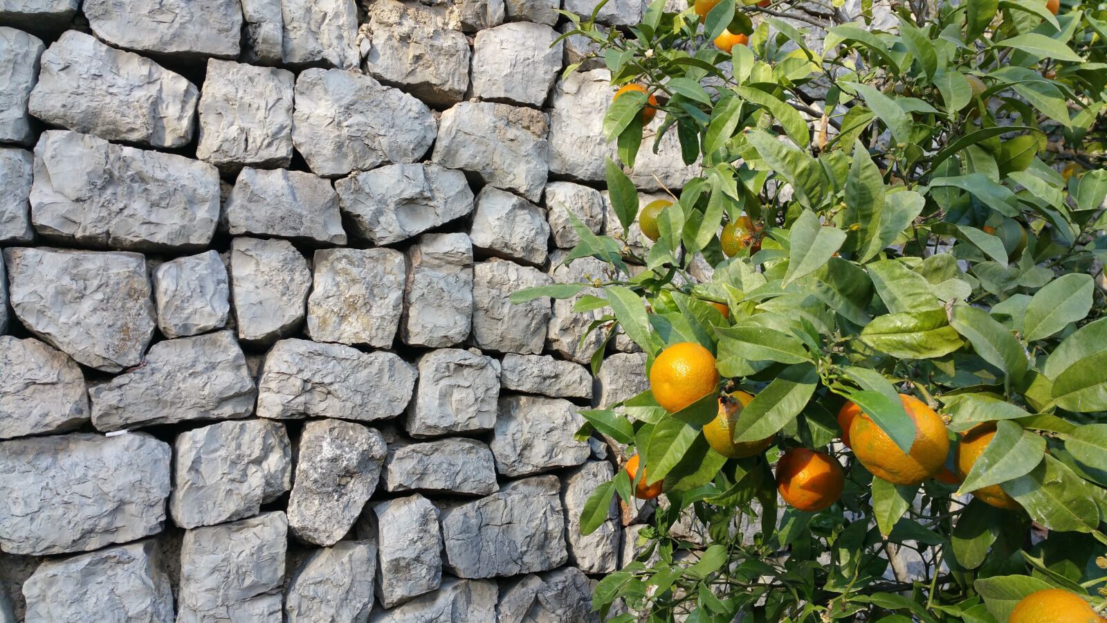 Samsung Galaxy Note4 sample photo. Wall, mandarin orange, stone photography