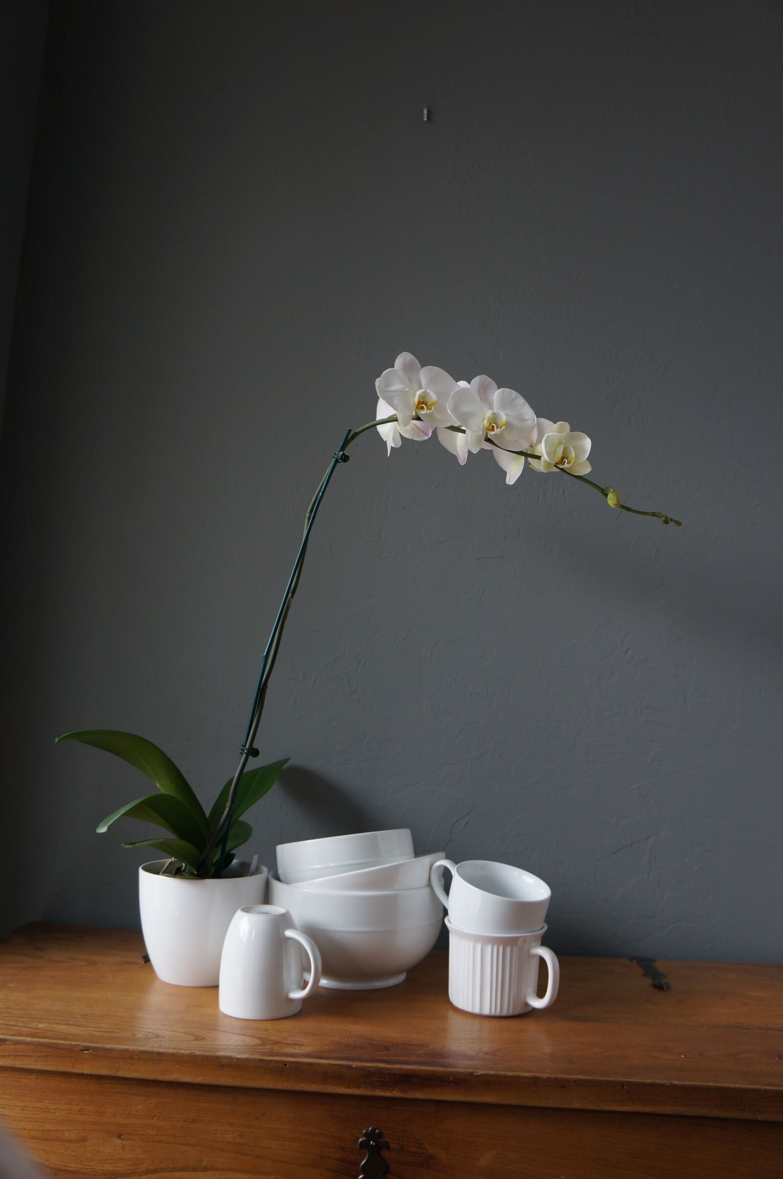 Sony Alpha NEX-5N sample photo. Orchids, cups, white photography