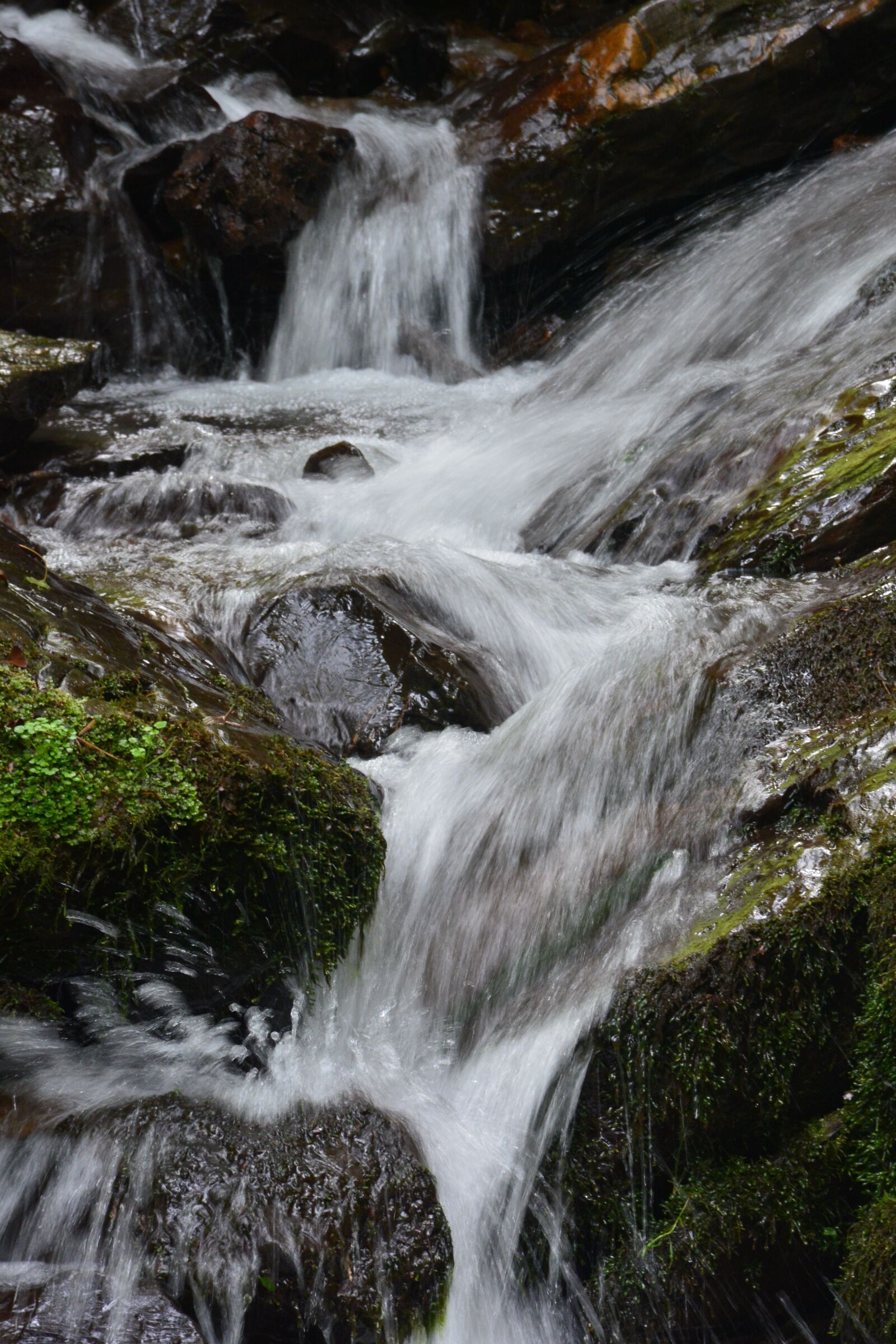 Nikon D7100 sample photo. Creek, waterfall, falls photography