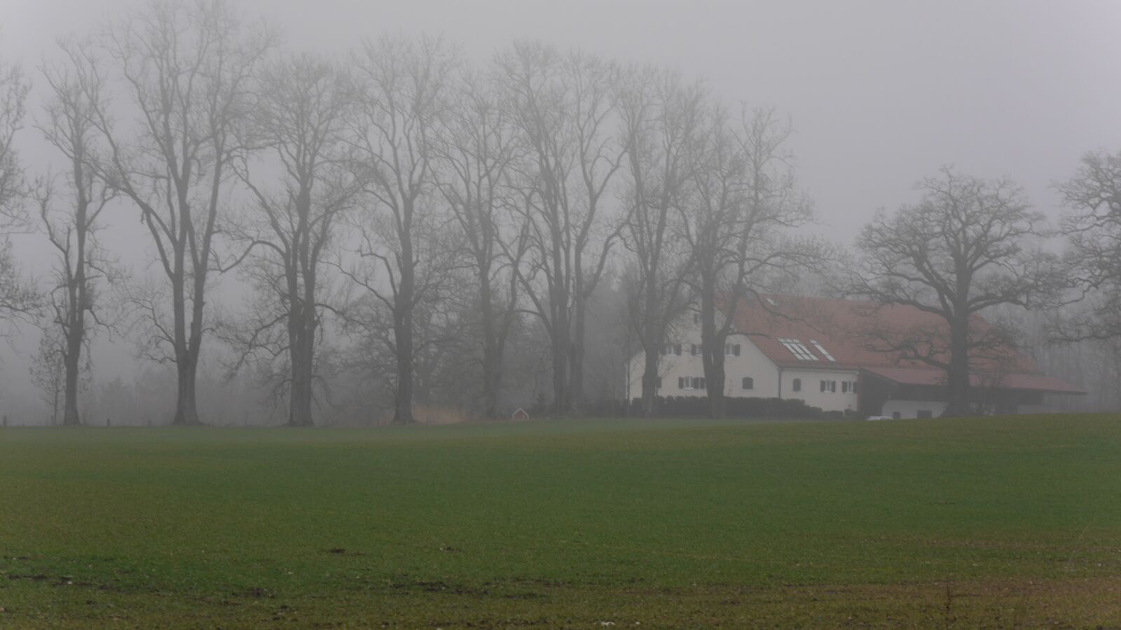 Panasonic Lumix DMC-G6 sample photo. Fog, landscape, nature photography
