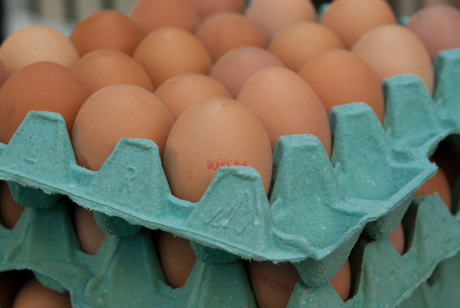 Pentax K10D sample photo. Eggs, market, hens photography