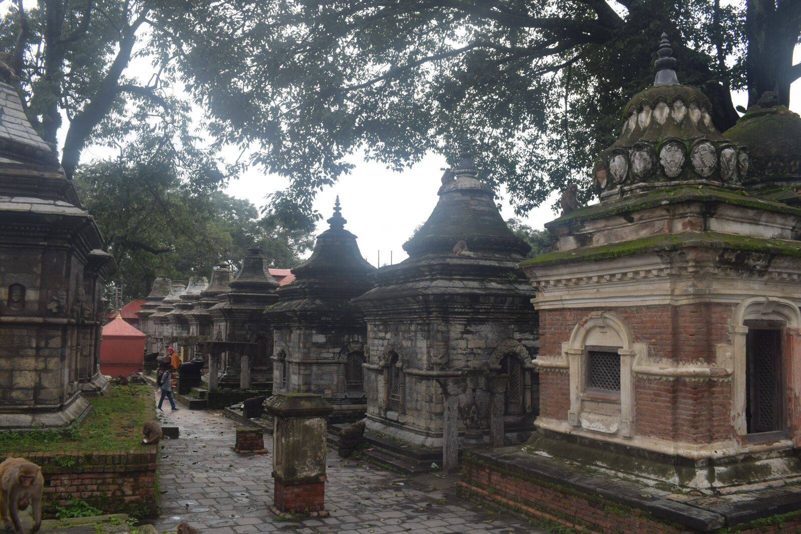 Nikon D5300 sample photo. A stupa, temple, good photography