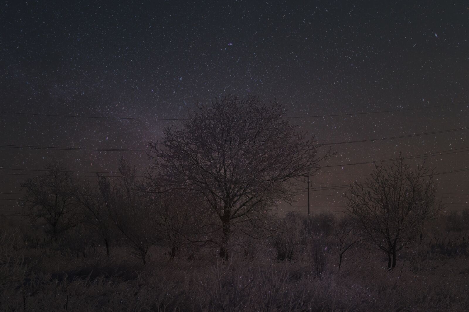Canon EF-S 60mm F2.8 Macro USM sample photo. Landscape, snow, stars photography